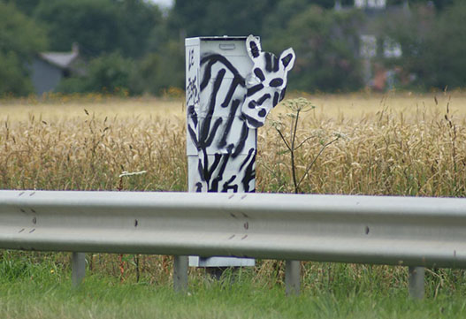 radar décore zebre
