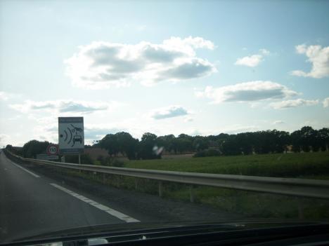 Photo 1 du radar automatique de Saint-Thurial