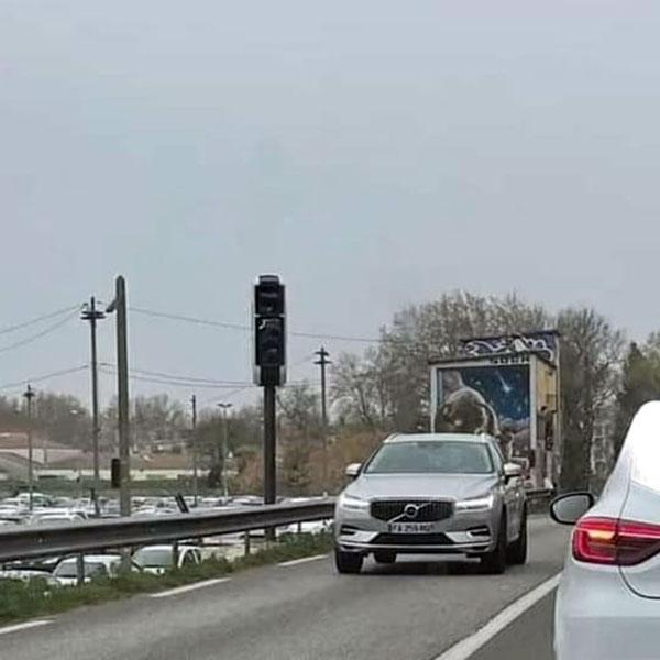 Photo du radar automatique de Avignon (D225)