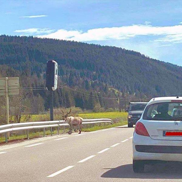 Photo du radar automatique de Montbenot (D437)