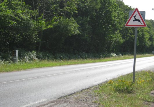 Photo 1 du radar automatique de Le Tronquay