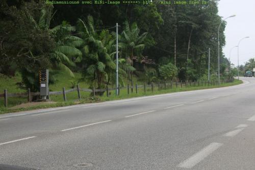 Photo du radar automatique de Cayenne ()