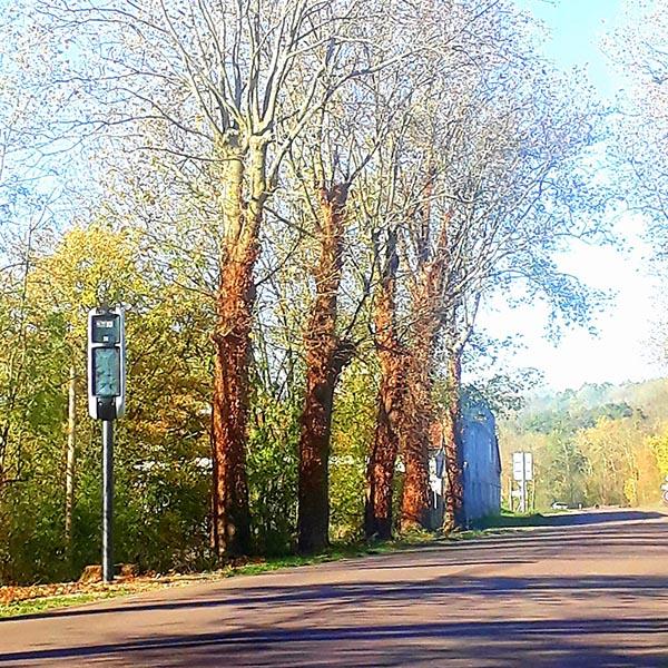 Photo du radar automatique de Vault-de-Lugny (D606)